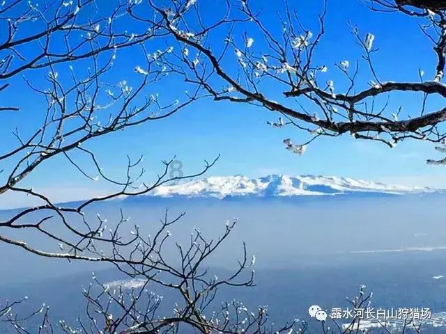 大话西游热血版