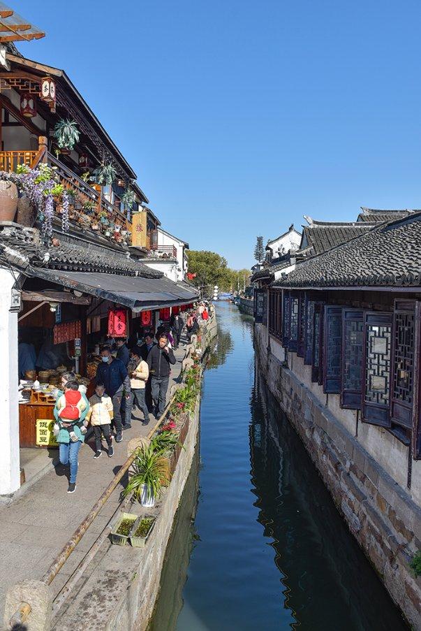僵尸顶顶乐